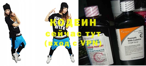 шишки Краснослободск