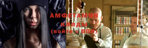 шишки Краснослободск