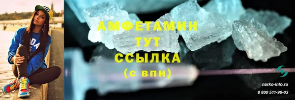 трава Ессентукская