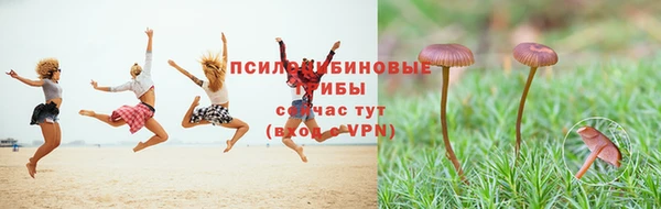СК Козловка